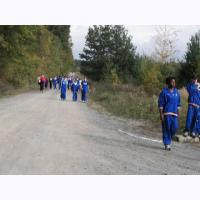 cc006 walking.jpg 77.2K